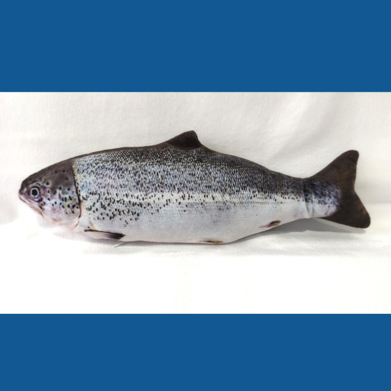 Realistic Fish Plush Toys for Cats